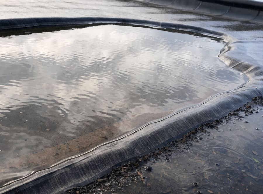 Rainwater standing on a flat roof membrane. Illustrative photograph.